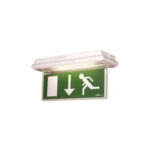 Λαμπτήρας LED eaton-safety1 - LED Lamp